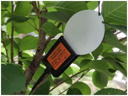 叶面温湿度传感器的作用和使用方法