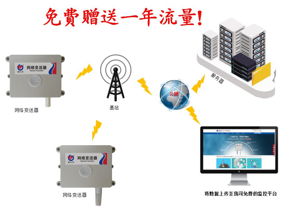 4G气体变送器 RS-*-4G-2H-*-*